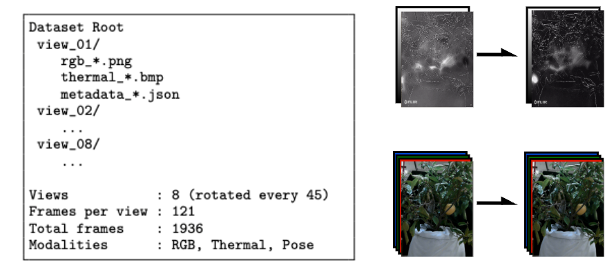 Platform Comparison
